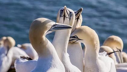 B体育-华体会网站——体验极致体育娱乐的新天地